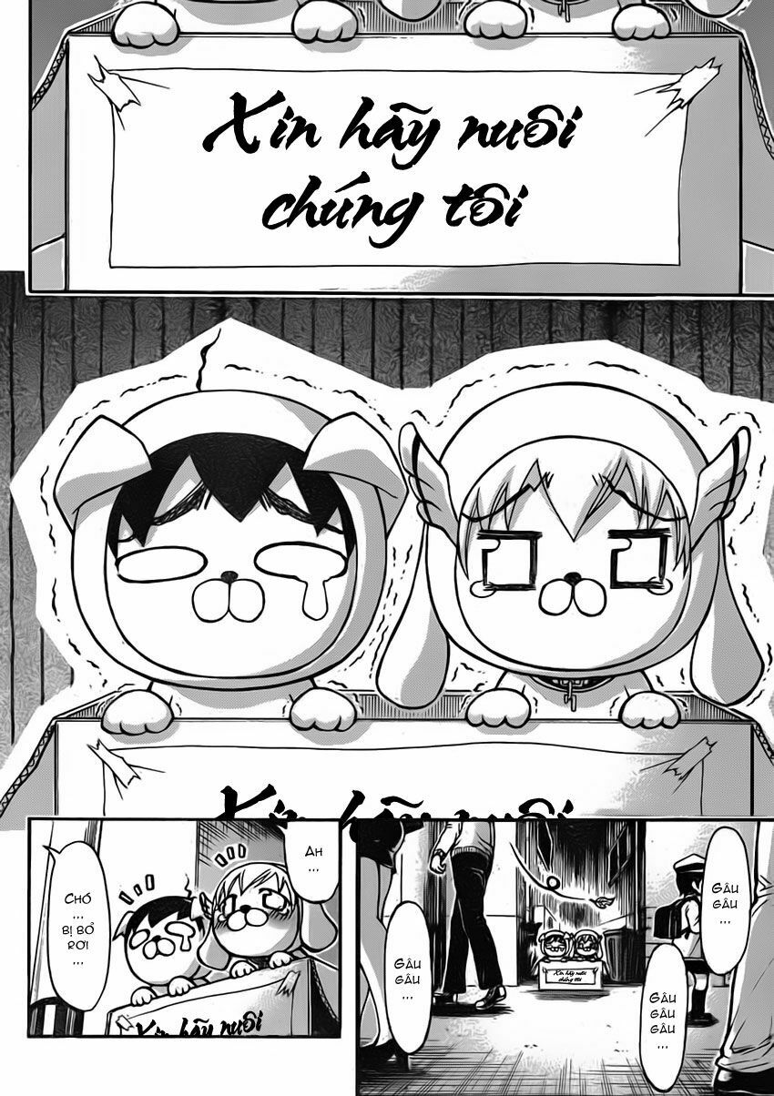 Vật Thất Lạc Của Bầu Trời: Chapter 48: - Chó lạc !!-