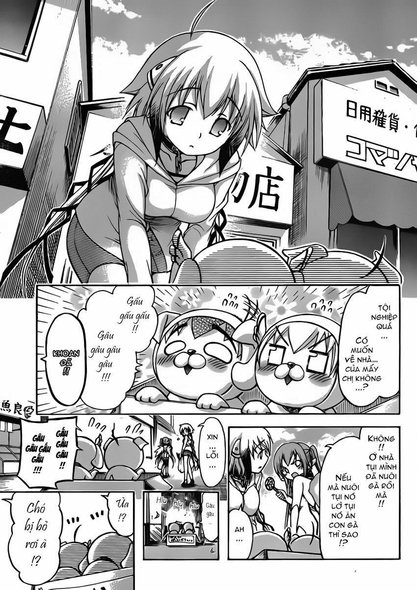 Vật Thất Lạc Của Bầu Trời: Chapter 48: - Chó lạc !!-