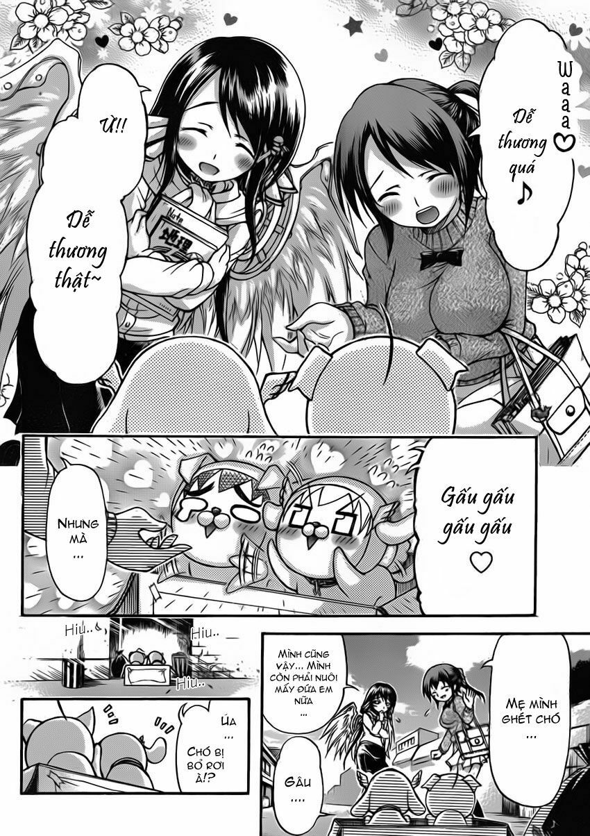 Vật Thất Lạc Của Bầu Trời: Chapter 48: - Chó lạc !!-