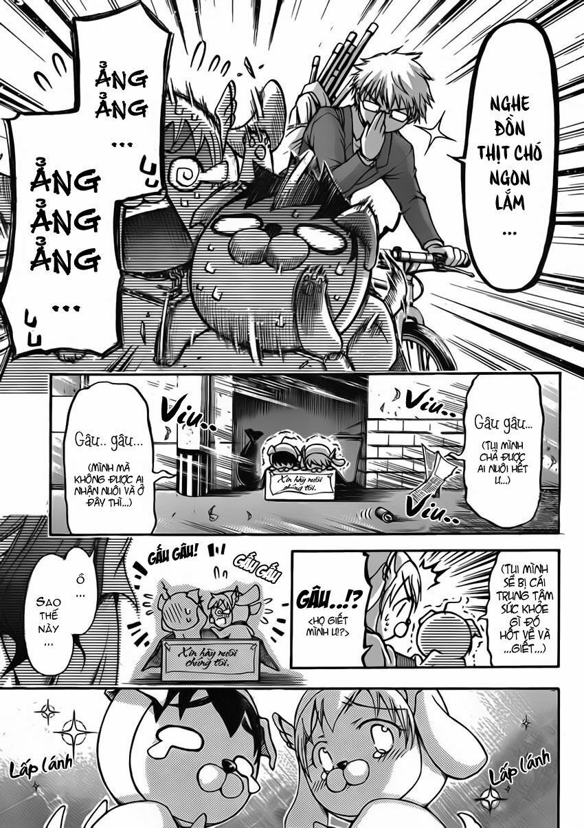 Vật Thất Lạc Của Bầu Trời: Chapter 48: - Chó lạc !!-