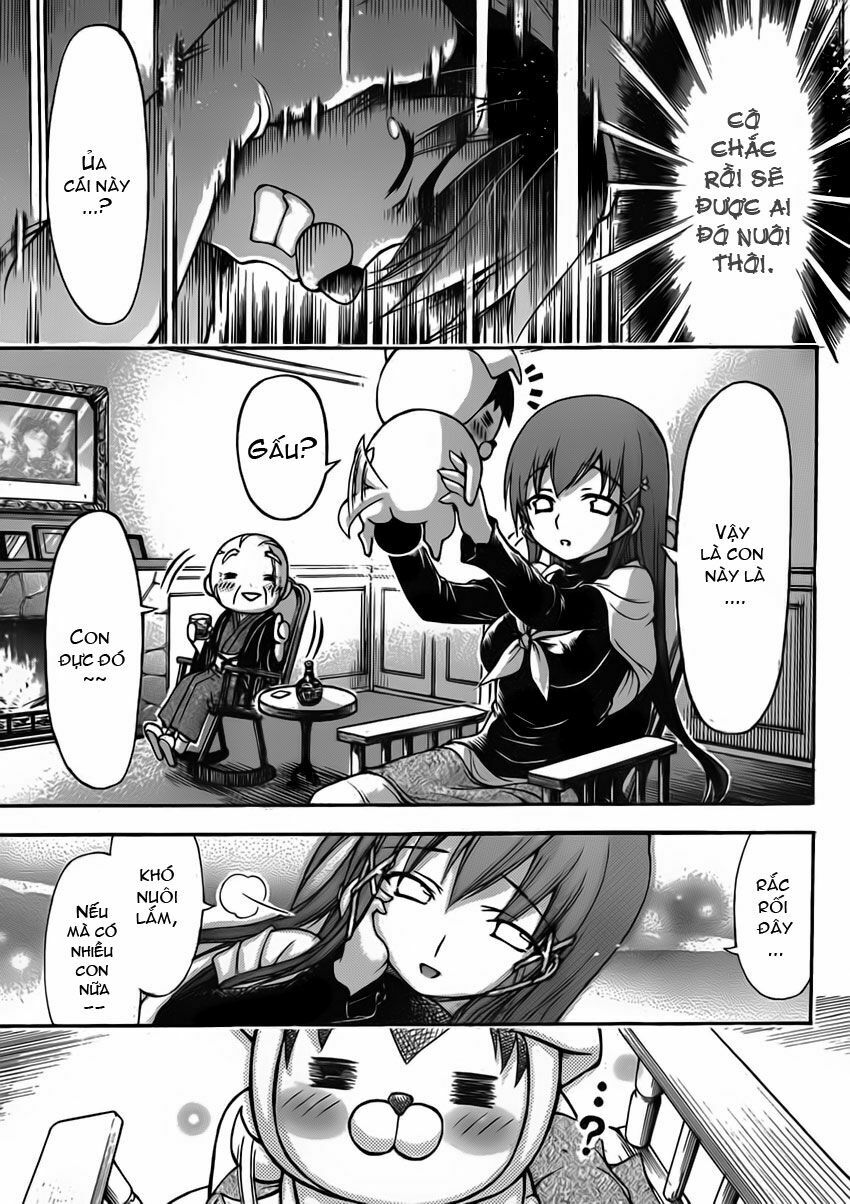 Vật Thất Lạc Của Bầu Trời: Chapter 48: - Chó lạc !!-