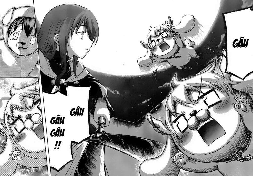 Vật Thất Lạc Của Bầu Trời: Chapter 48: - Chó lạc !!-