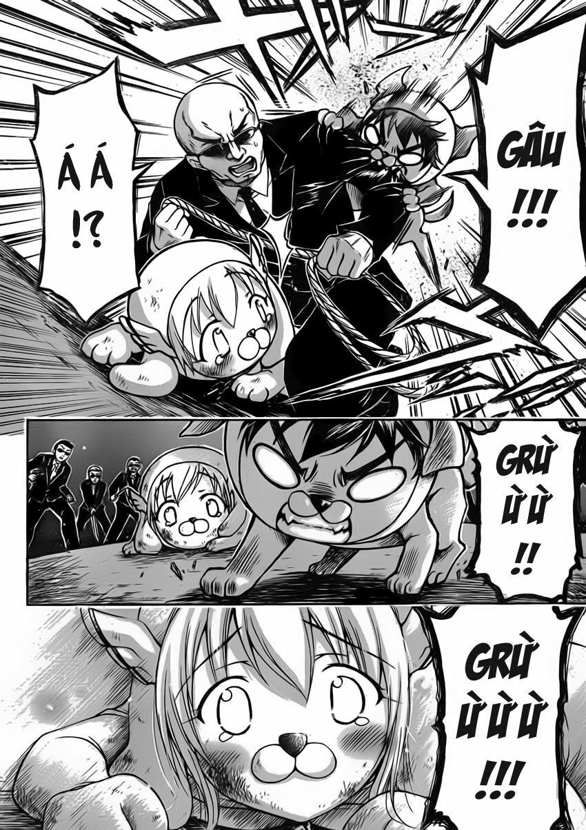 Vật Thất Lạc Của Bầu Trời: Chapter 48: - Chó lạc !!-