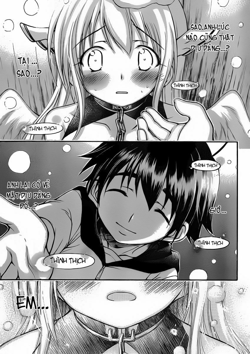 Vật Thất Lạc Của Bầu Trời: Chapter 48: - Chó lạc !!-