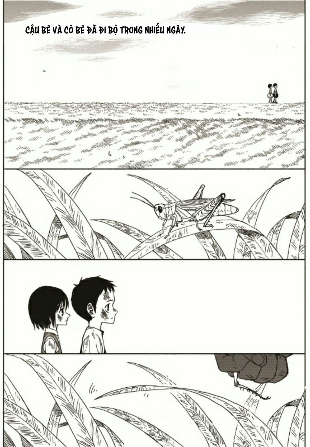 The Horizon: Chapter 2