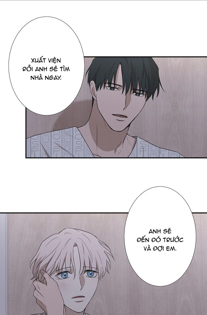 Trốn Tìm: Chapter 35: - KẾT THÚC