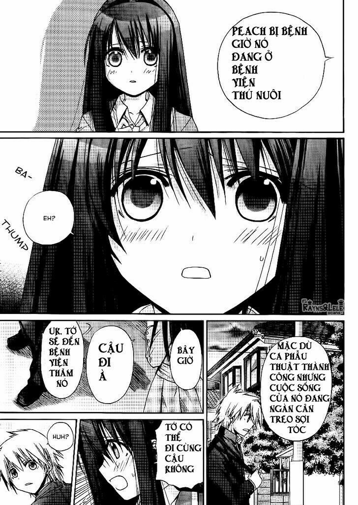 Tổng hợp One Shot.: Chapter 121