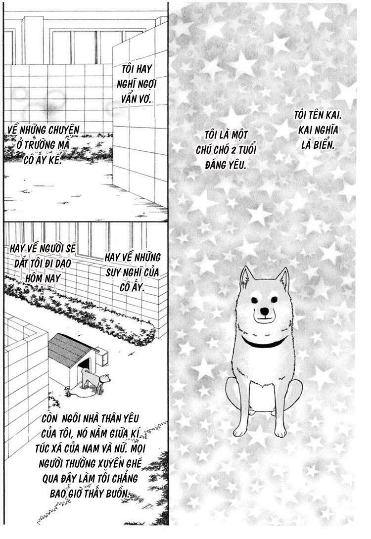 Tổng hợp One Shot.: Chapter 142