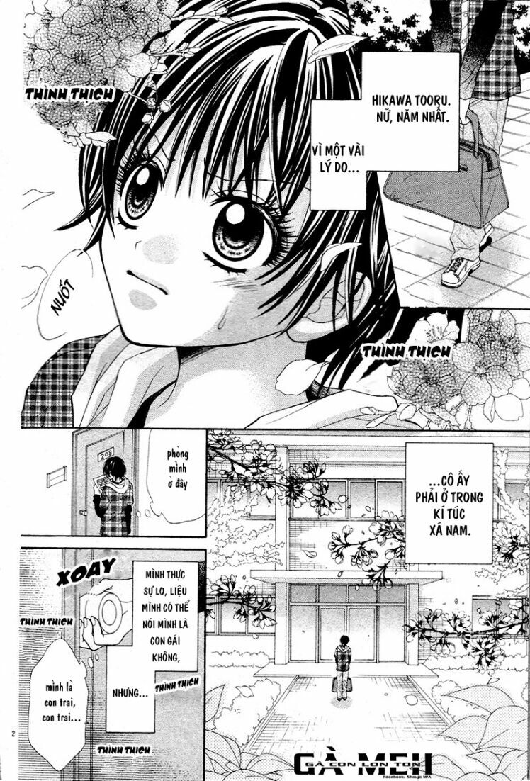 Tổng hợp One Shot.: Chapter 204