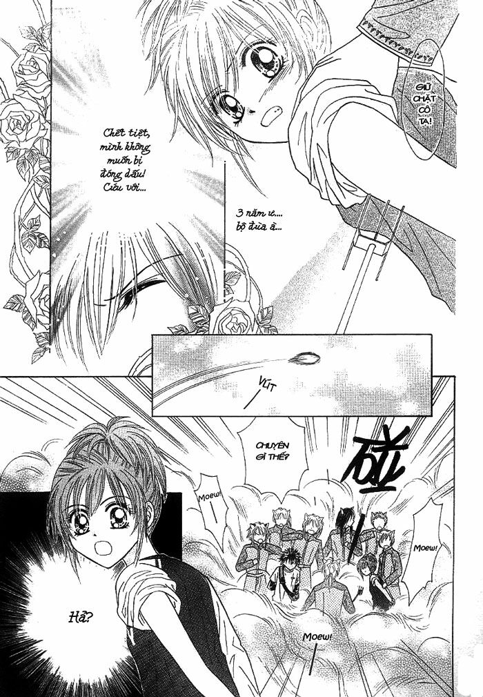Tổng hợp One Shot.: Chapter 27