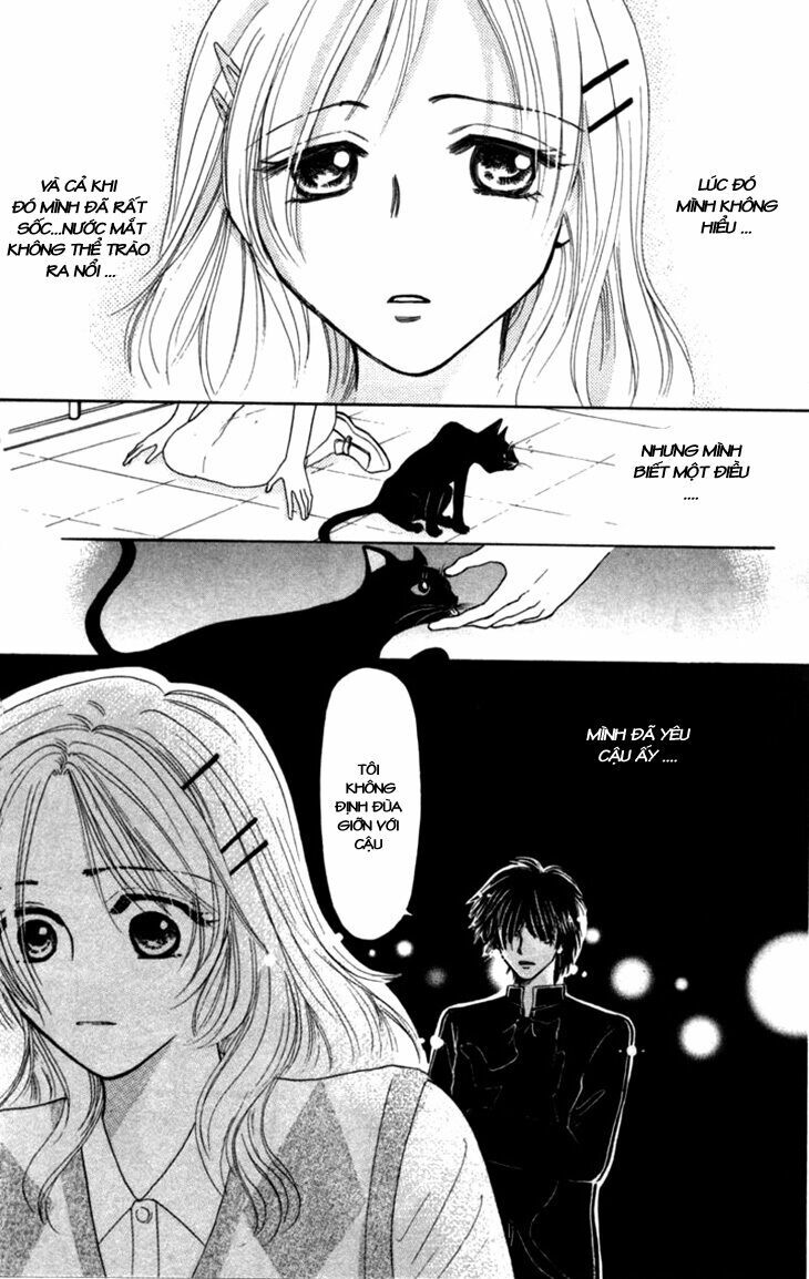 Tổng hợp One Shot.: Chapter 295