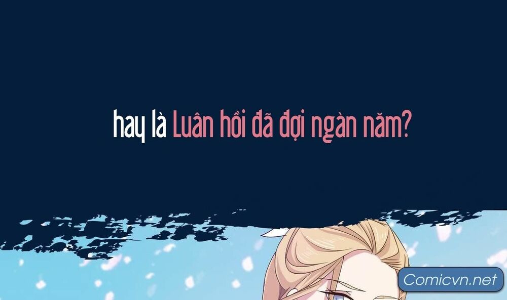 Chủ tịch và Nữ Sát thủ: Chapter 0