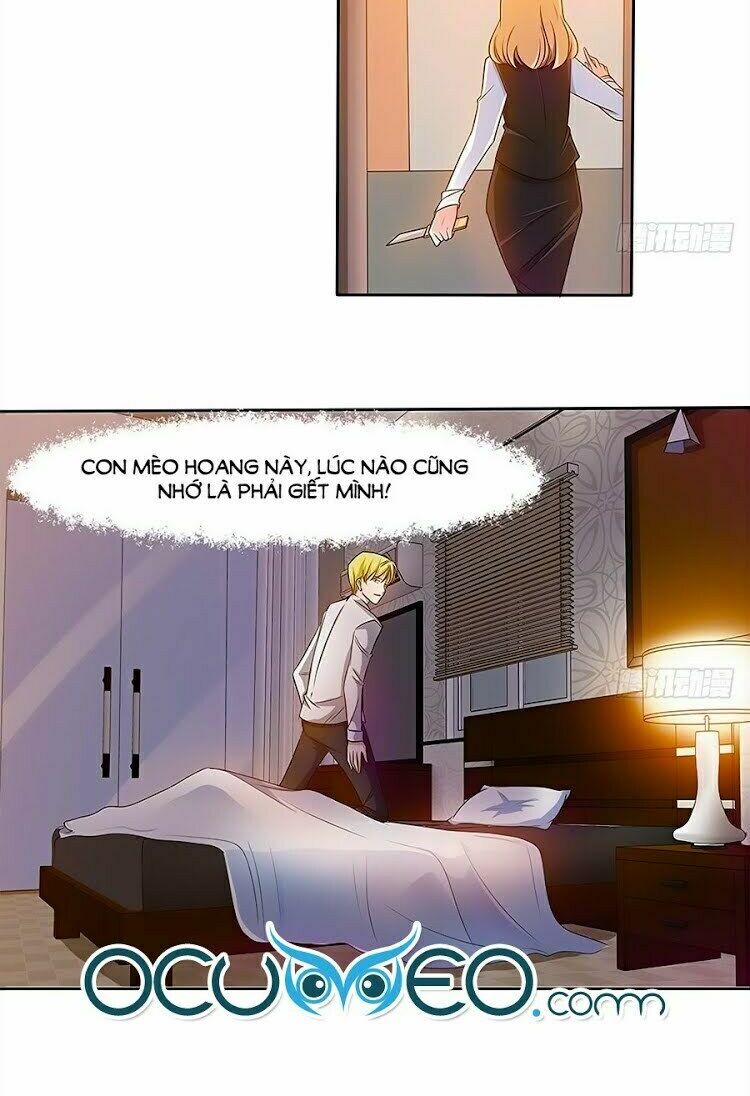 Chủ tịch và Nữ Sát thủ: Chapter 19