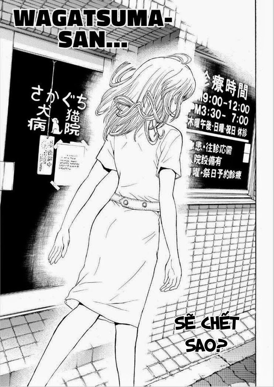 Vợ tôi là wagatsuma: Chapter 93