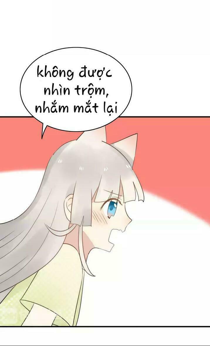 Thú Sủng Của Tôi Bị Mất Trí Rồi: Chapter 53