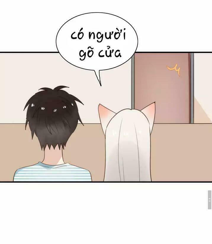 Thú Sủng Của Tôi Bị Mất Trí Rồi: Chapter 53