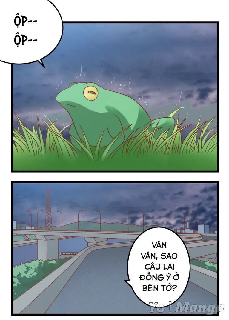 Tôi Là Vợ Tôi: Chapter 68