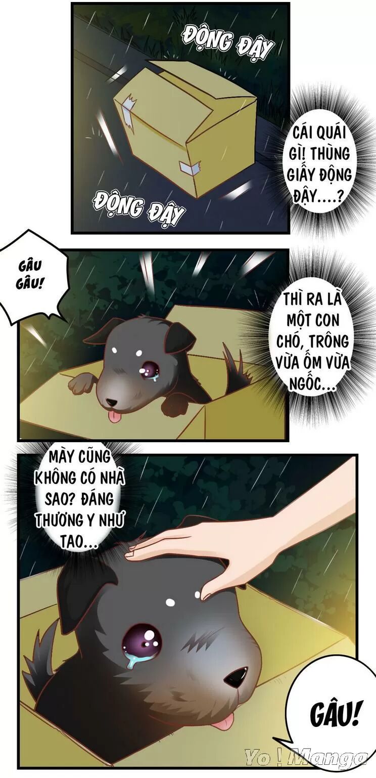 Tôi Là Vợ Tôi: Chapter 83
