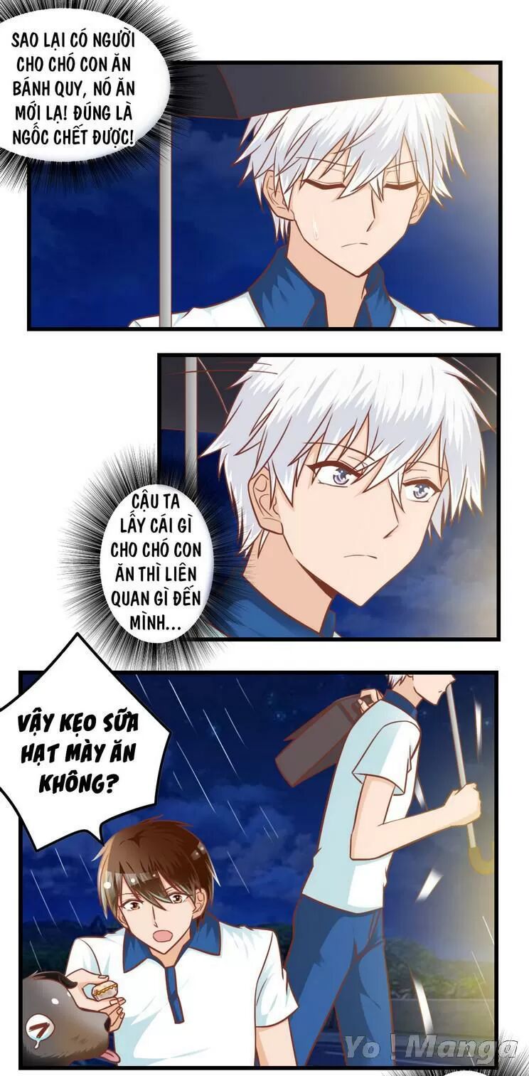 Tôi Là Vợ Tôi: Chapter 83