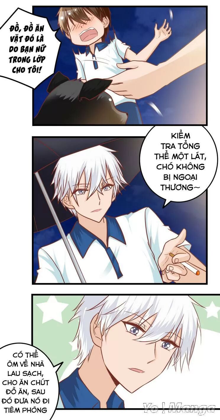 Tôi Là Vợ Tôi: Chapter 84