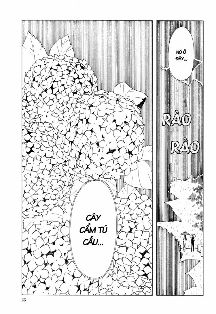 XXXHolic: Chapter 29