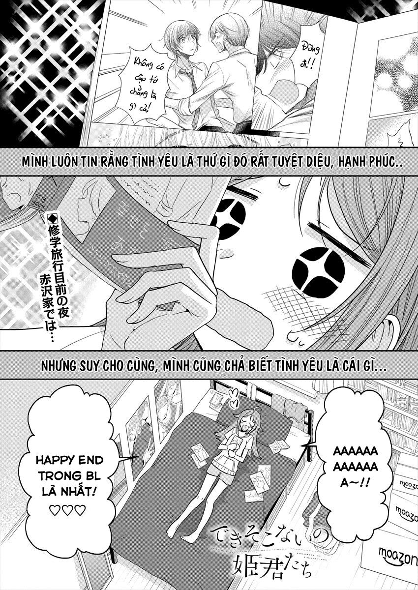 Useless Princesses: Chapter 23: Tình yêu không cần lý do