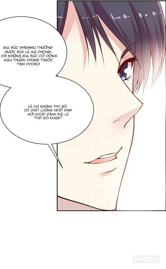 JM Đặc Thù Khách Nhân Phục Vụ Bộ: Chapter 61