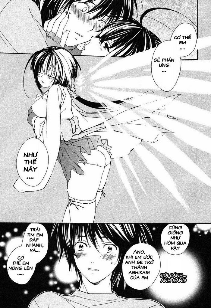 Sekirei: Chapter 2