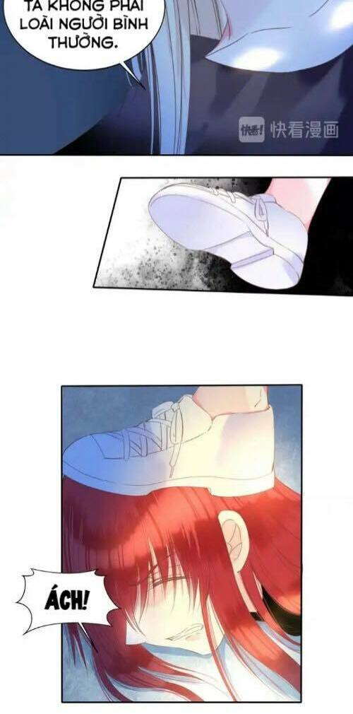 Vũ Tẫn: Chapter 26