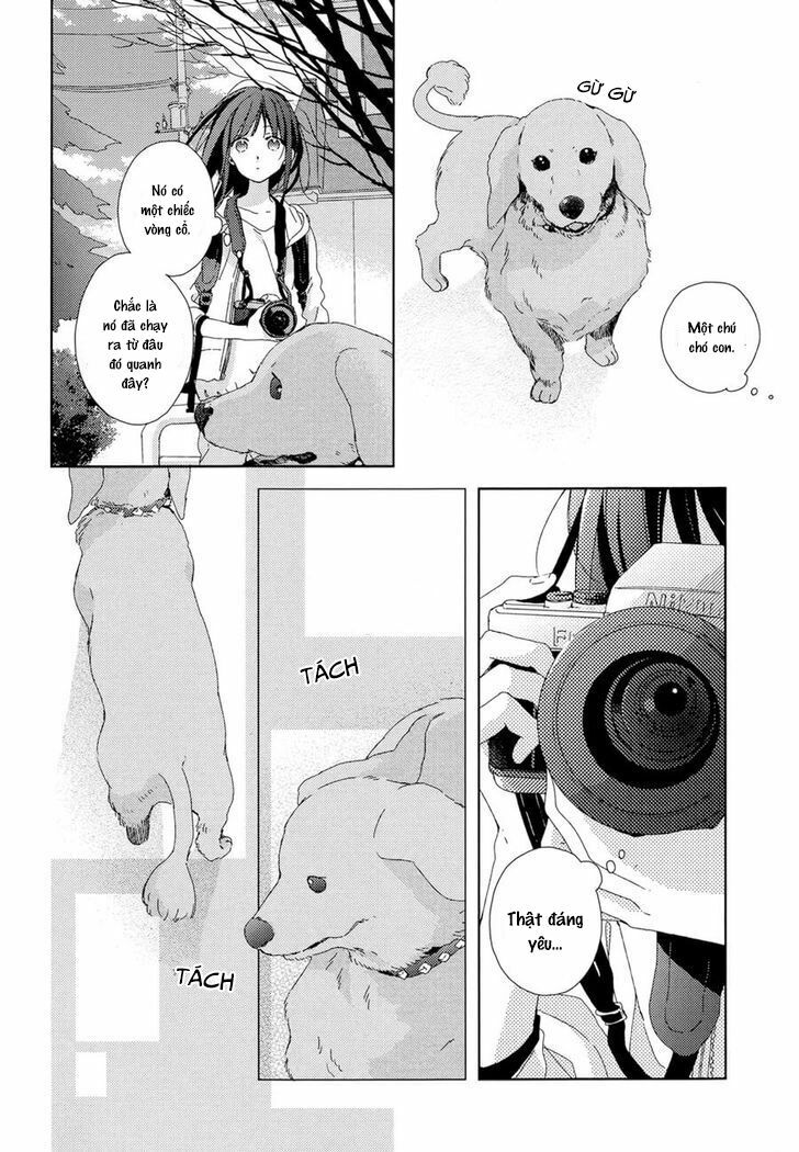 Renzu-Sou No Sankaku: Chapter 1