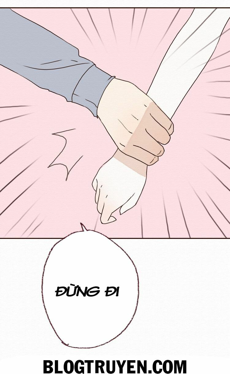 Tình yêu không nói dối: Chapter 14
