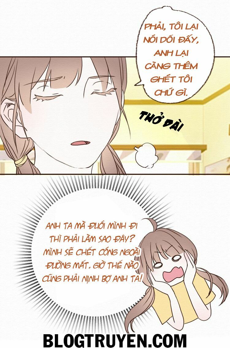 Tình yêu không nói dối: Chapter 15