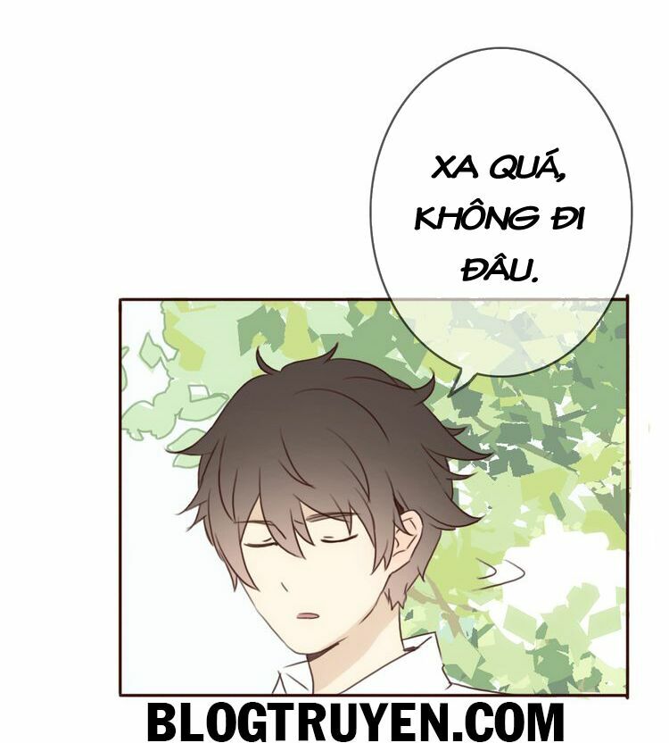 Tình yêu không nói dối: Chapter 19