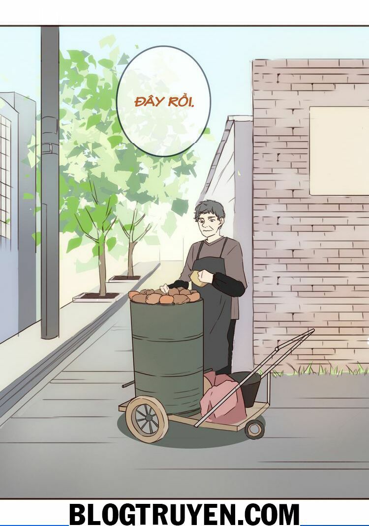 Tình yêu không nói dối: Chapter 19