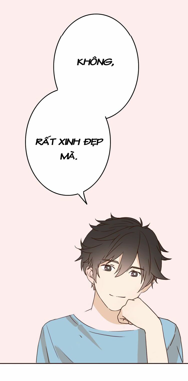 Tình yêu không nói dối: Chapter 21: Tổng tài cao lãnh trở lên ấm áp