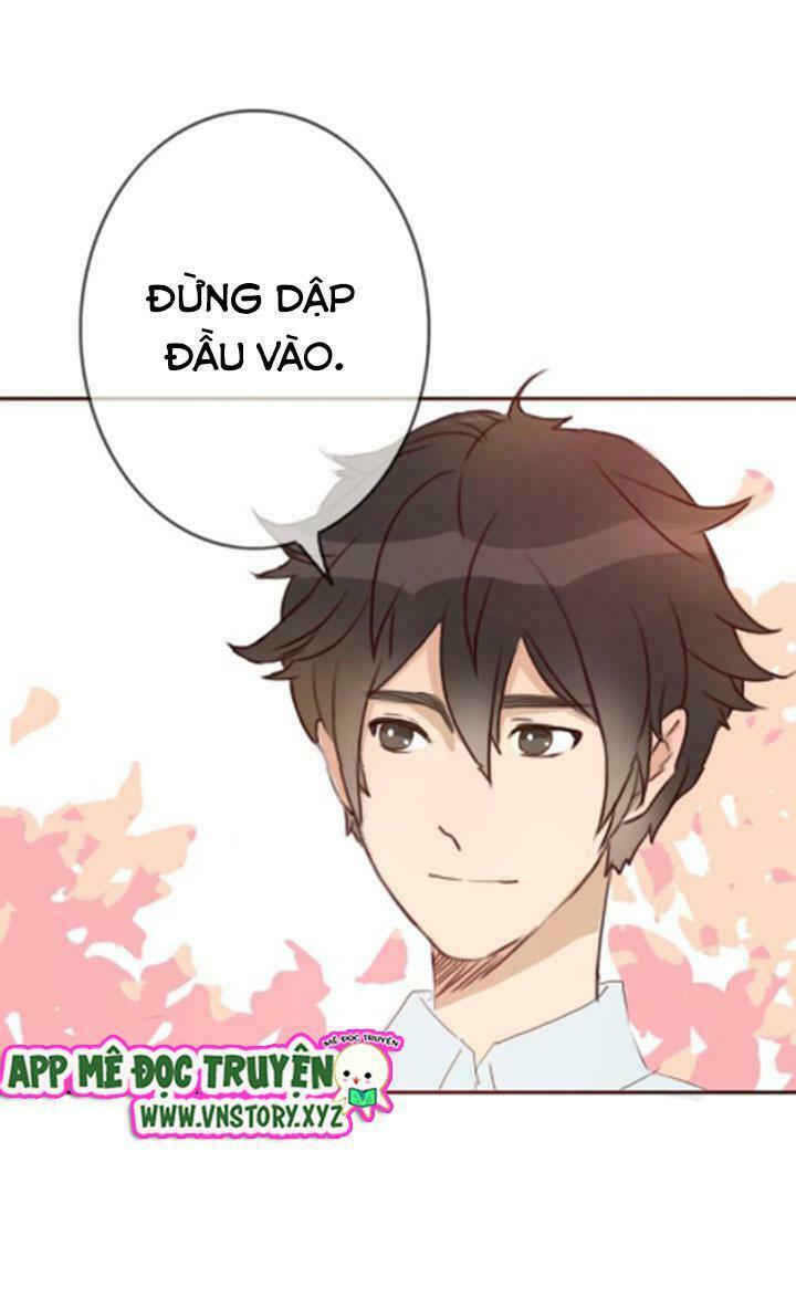Tình yêu không nói dối: Chapter 28
