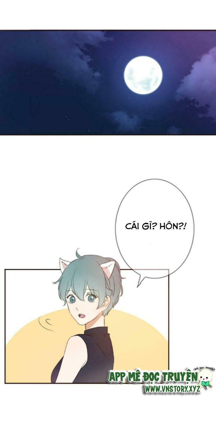 Tình yêu không nói dối: Chapter 29