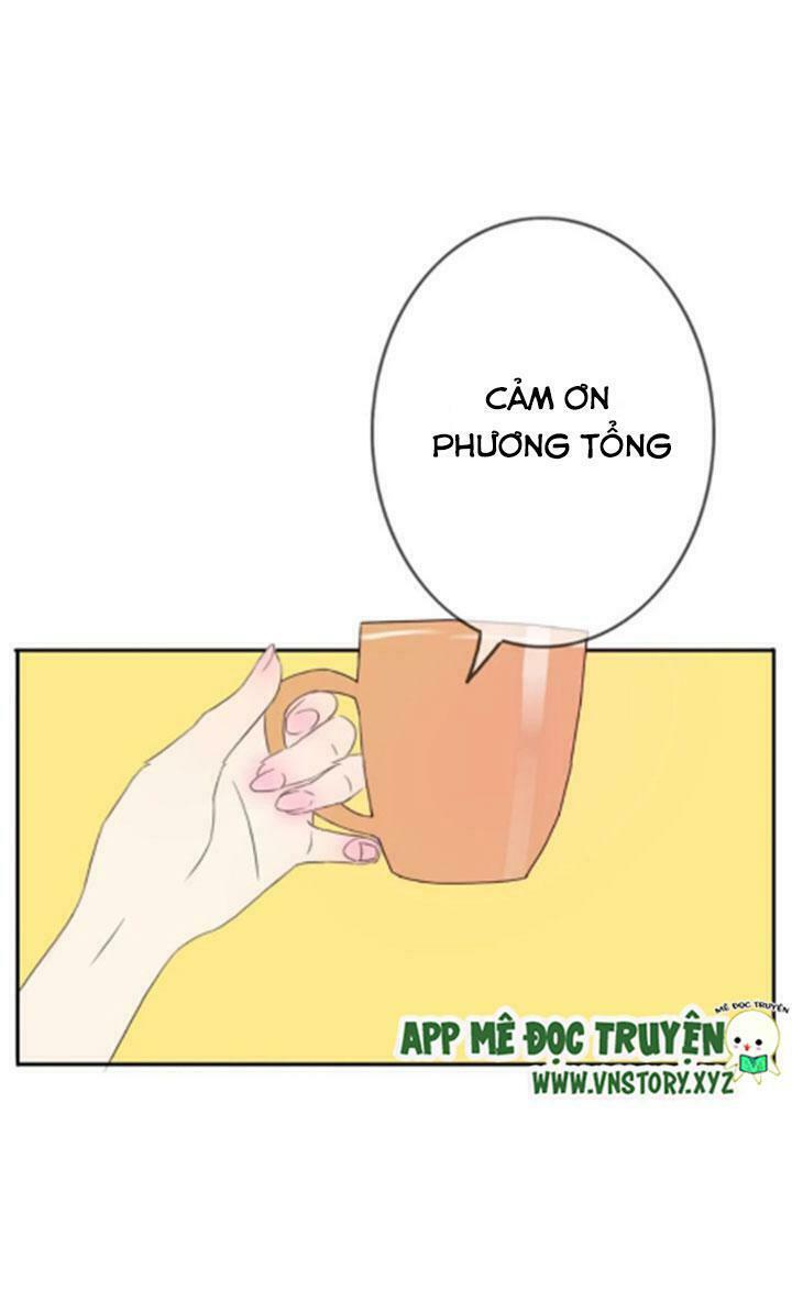 Tình yêu không nói dối: Chapter 29