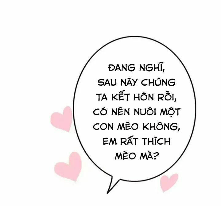 Tình yêu không nói dối: Chapter 60