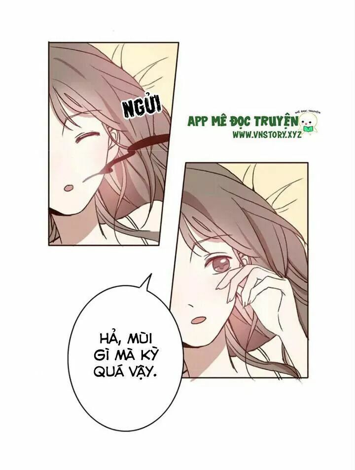 Tình yêu không nói dối: Chapter 67