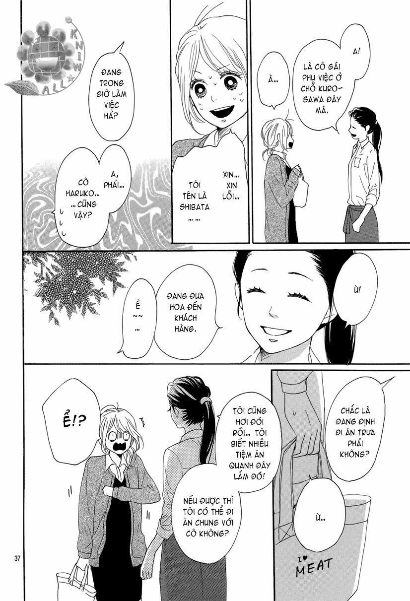 Dame na Watashi ni Koishite Kudasai: Chapter 13