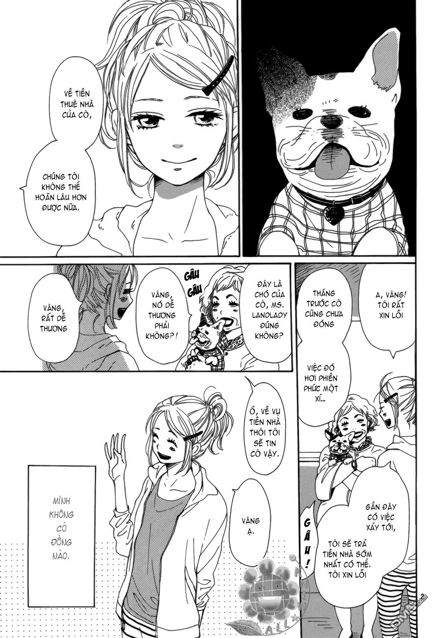 Dame na Watashi ni Koishite Kudasai: Chapter 2