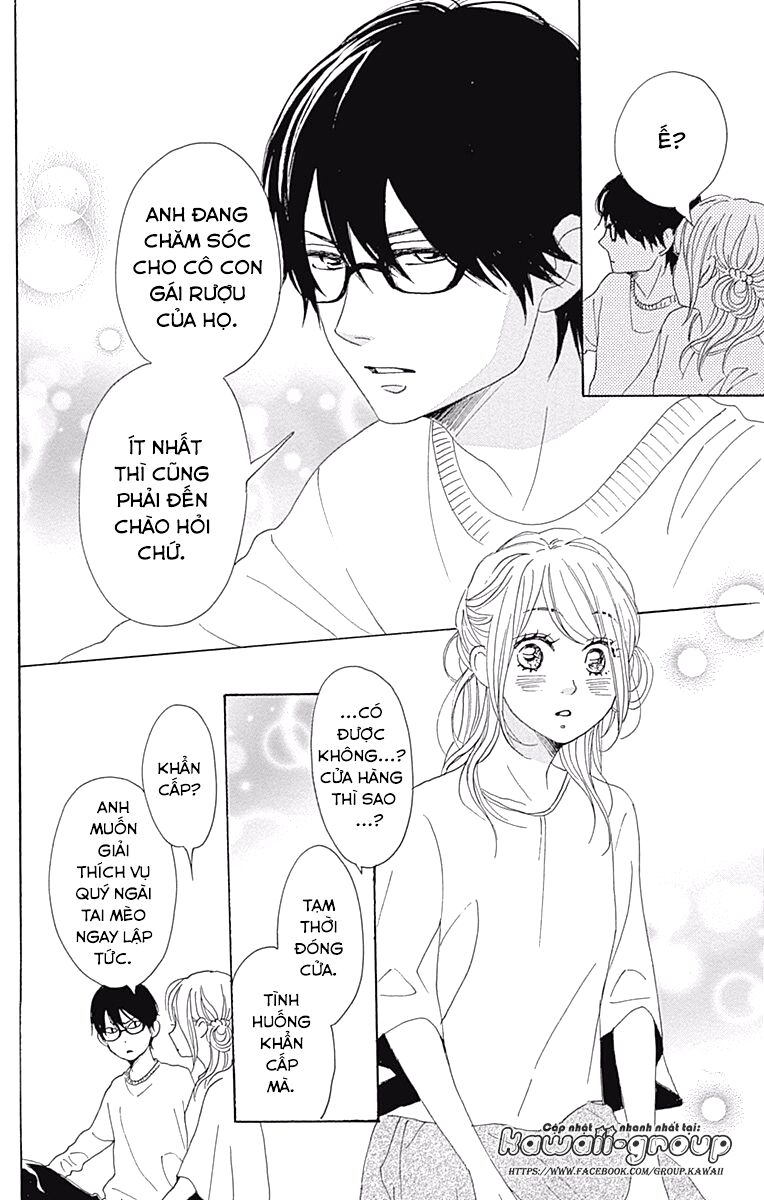 Dame na Watashi ni Koishite Kudasai: Chapter 38
