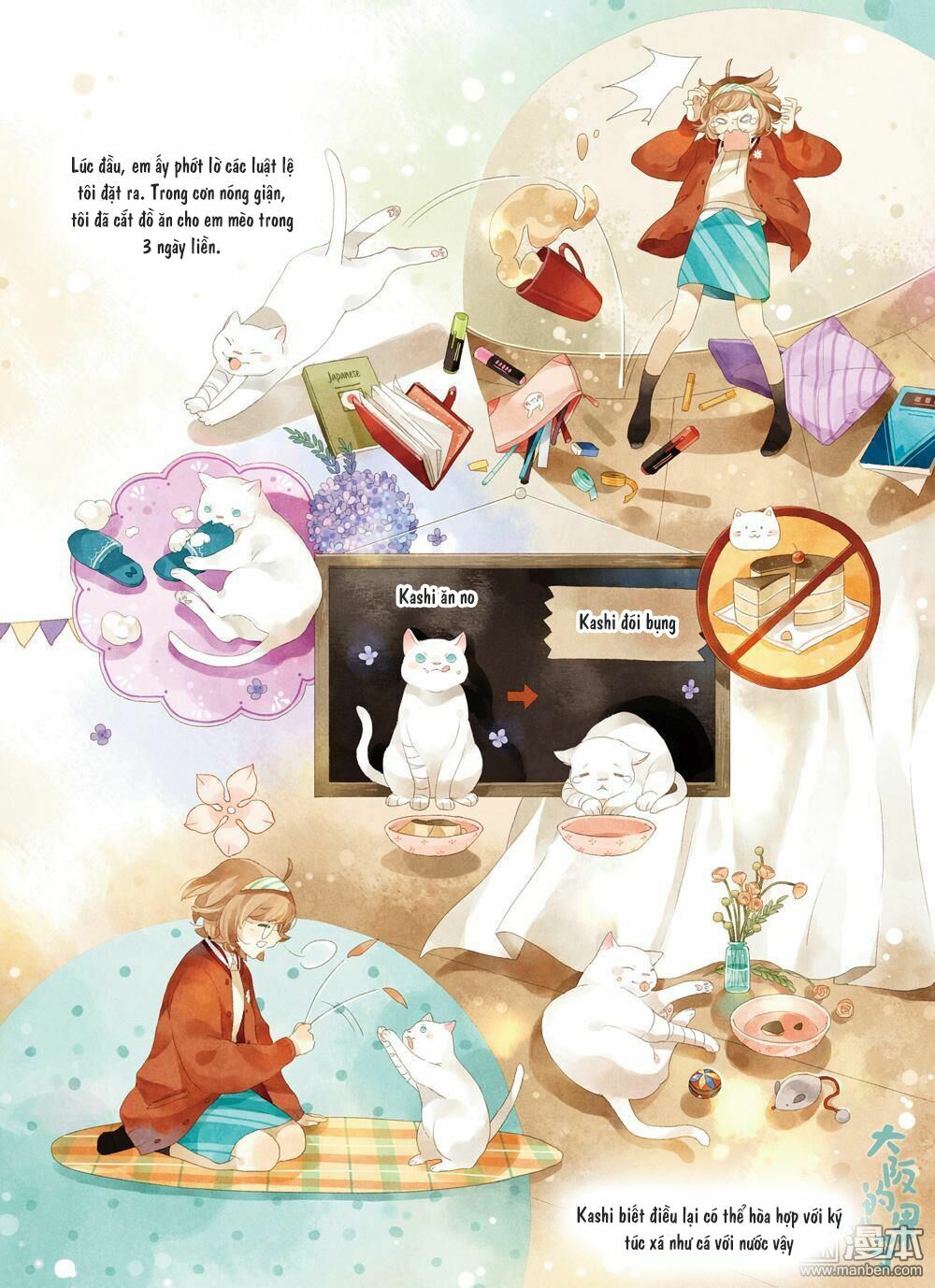 Cậu tên gì ?: Chapter 6: [Oneshot] Chú mèo Kasshi đến từ Osaka