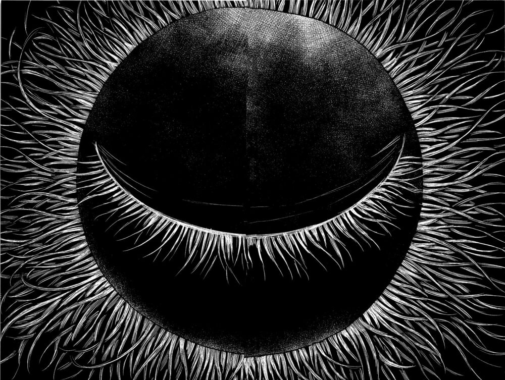 Aku no Hana - Những bông hoa ác: Chapter 33