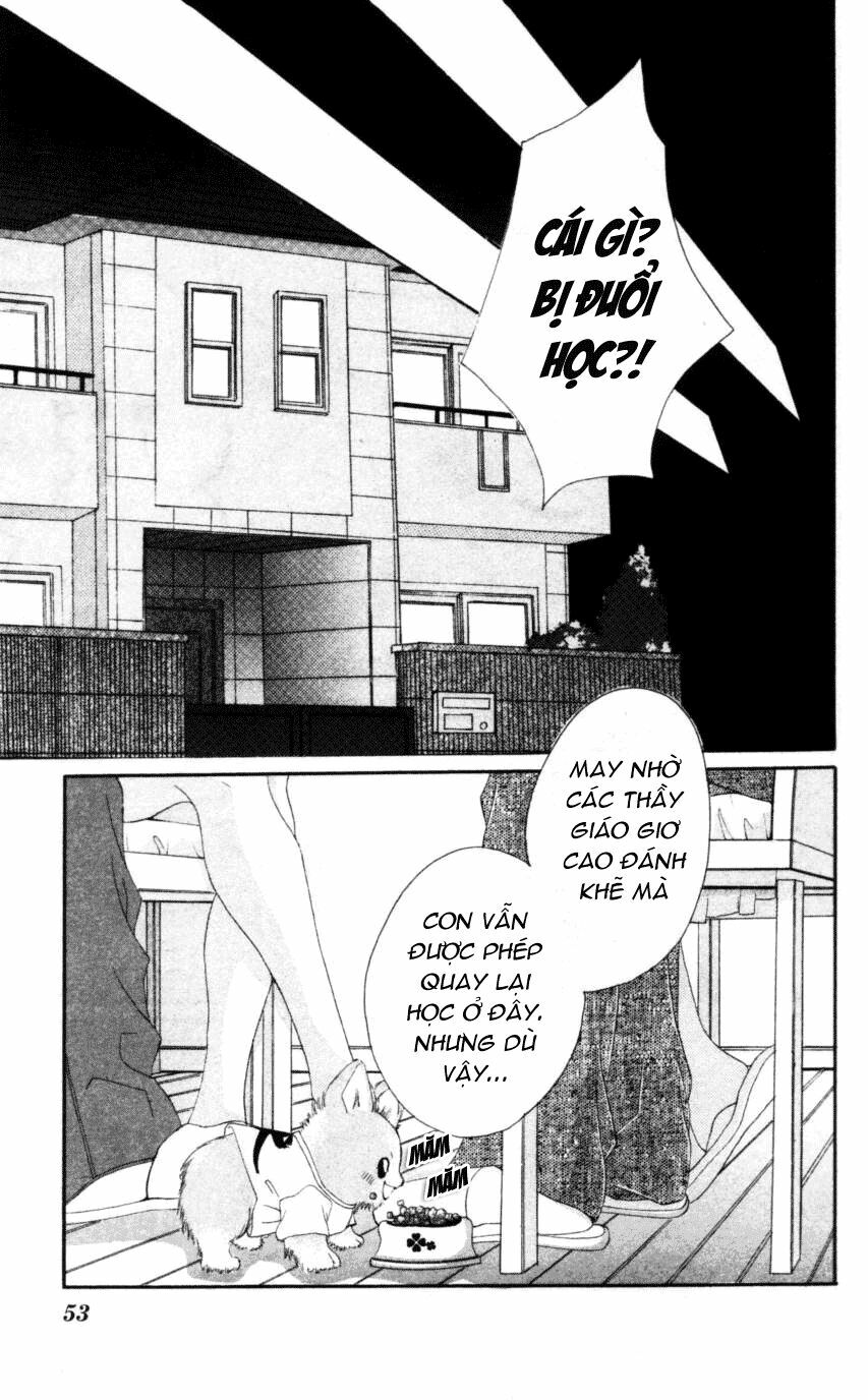 I love my little sister: Chapter 43