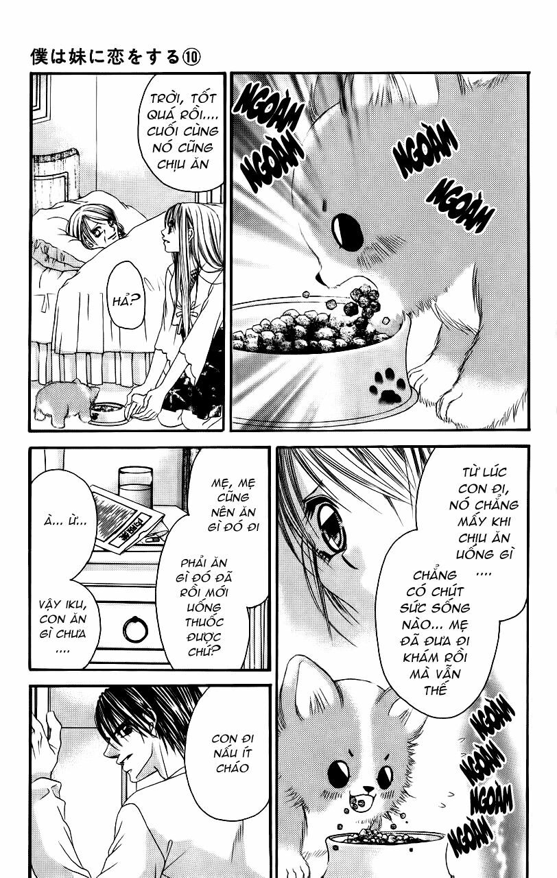 I love my little sister: Chapter 56