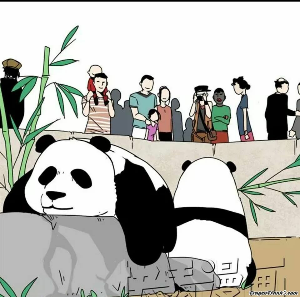 Phần Mềm Thẩm Mỹ: Chapter 6