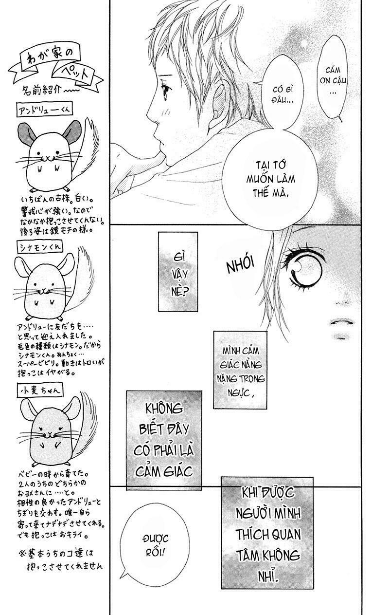 Tình Yêu Học Trò: Chapter 2