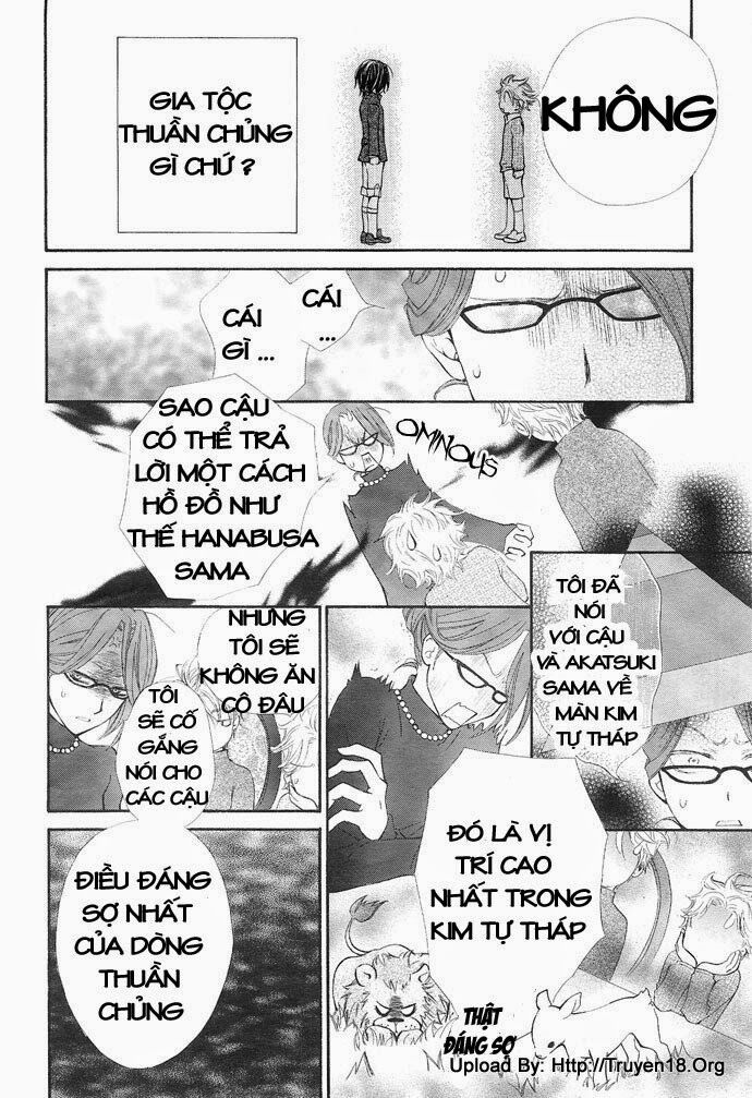 Hiệp sĩ Vampire: Chapter 28